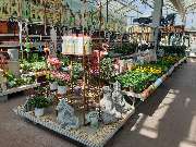 OBI Markt Walsrode - OBI Gartencenter Walsrode