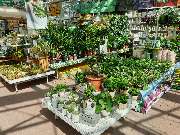 OBI Markt Walsrode - OBI Lampen- & Leuchtenstudio Walsrode