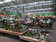 OBI Markt Weiden - OBI Gartenplaner Weiden