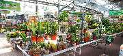 OBI Markt Weimar-Süßenborn - OBI Gartencenter Weimar-Süßenborn