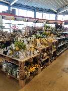 OBI Markt Weißenburg - - OBI Baumarkt Weißenburg (DIY)- 7.500m² Verkaufsfläche / Sales Area- Abteilung: Boutique