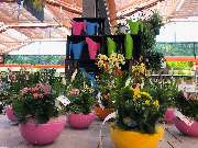 OBI Markt Weißenburg - - OBI Baumarkt Weißenburg (DIY)- 7.500m² Verkaufsfläche / Sales Area- Abteilung: Gartenwarmhalle