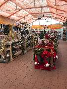 OBI Markt Weißenburg - - OBI Baumarkt Weißenburg (DIY)- 7.500m² Verkaufsfläche / Sales Area- Abteilung: Weihnachtsmarkt Innengarten