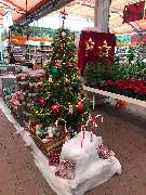 OBI Markt Weißenburg - - OBI Baumarkt Weißenburg (DIY)- 7.500m² Verkaufsfläche / Sales Area- Abteilung: Weihnachtsmarkt Innengarten