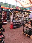 OBI Markt Weißenburg - - OBI Baumarkt Weißenburg (DIY)- 7.500m² Verkaufsfläche / Sales Area- Abteilung: Weihnachtsmarkt Innengarten