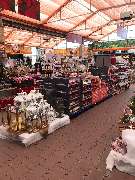 OBI Markt Weißenburg - - OBI Baumarkt Weißenburg (DIY)- 7.500m² Verkaufsfläche / Sales Area- Abteilung: Weihnachtsmarkt Innengarten