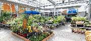 OBI Markt Winnenden - OBI Gartencenter Winnenden