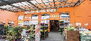 OBI Markt Winnenden - OBI Markt-Eingang Winnenden