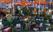 OBI Markt Winnenden - OBI Winnenden