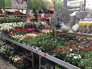 OBI Markt Winnenden - OBI Winnenden