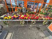 OBI Markt Winnenden - OBI Winnenden