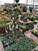 OBI Markt Winsen - Die Toskane in unserem OBI Winsen