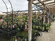 OBI Markt Winsen - Noch keine Idee für Ihren Garten? Wir inspirieren Sie!