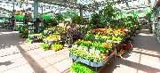 OBI Markt Winsen - OBI Gartencenter Winsen