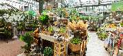 OBI Markt Winsen - OBI Gartencenter Winsen