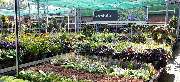 OBI Markt Wittenberg - OBI Gartencenter Wittenberg