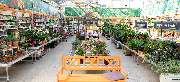 OBI Markt Wittenberg - OBI Gartencenter Wittenberg