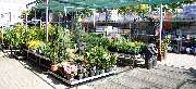 OBI Markt Wittenberg - OBI Gartencenter Wittenberg