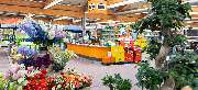 OBI Markt Wittenberge - OBI Gartencenter Wittenberge