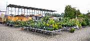 OBI Markt Wittenberge - OBI Gartencenter Wittenberge