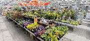 OBI Markt Worms - GALLERY