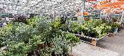 OBI Markt Worms - GALLERY