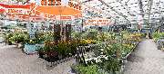 OBI Markt Worms - GALLERY