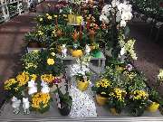 OBI Markt Worms - OBI Badplaner Worms