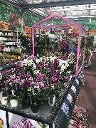 OBI Markt Worms - OBI Baustoffhalle Worms