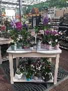 OBI Markt Worms - OBI Fenster- und Türen-Studio Worms