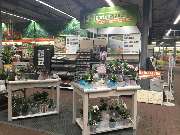 OBI Markt Worms - OBI Markt-Eingang Worms