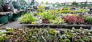OBI Markt Würzburg-Lengfeld - OBI Gartencenter Würzburg-Lengfeld