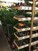 OBI Markt Wunstorf - OBI Gartencenter Wunstorf