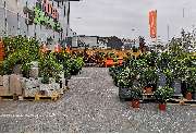 OBI Markt Wuppertal - OBI-Wuppertal Gartenfreifläche