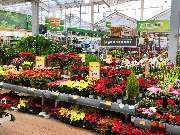 OBI Markt Wuppertal - OBI Wuppertal Pflanzenhalle (Gartenplaner)