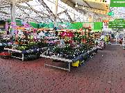 OBI Markt Wuppertal - OBI-WuppertalGartenabteilung