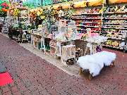 OBI Markt Wuppertal - OBI-WuppertalGartenabteilung