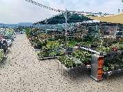 OBI Markt Zittau - OBI Markt Zittau