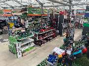 OBI Markt Zittau - Pflanze