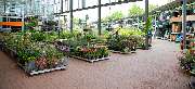 OBI Markt Zwickau - OBI Gartencenter Zwickau