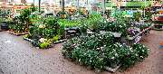OBI Markt Zwickau - OBI Gartencenter Zwickau
