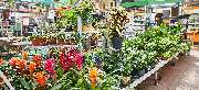 OBI Markt Zwiesel - OBI Gartencenter Zwiesel