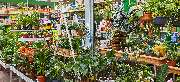 OBI Markt Zwiesel - OBI Gartencenter Zwiesel