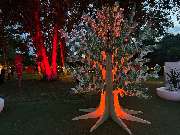 Obsentic - Naspa-Sommerfest