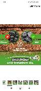 Odenwalder Steintec - GALLERY