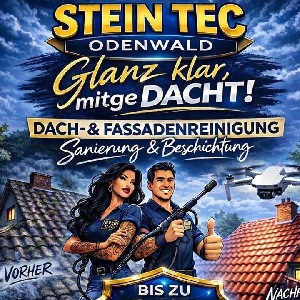 Odenwalder Steintec - LOGO