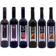 Ökoweingut Stutz - GALLERY