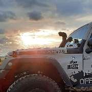 OFFROAD NETWORK - GALLERY