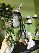 Olbersdorfer Blumeneck - GALLERY