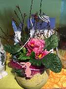 Olbersdorfer Blumeneck - GALLERY